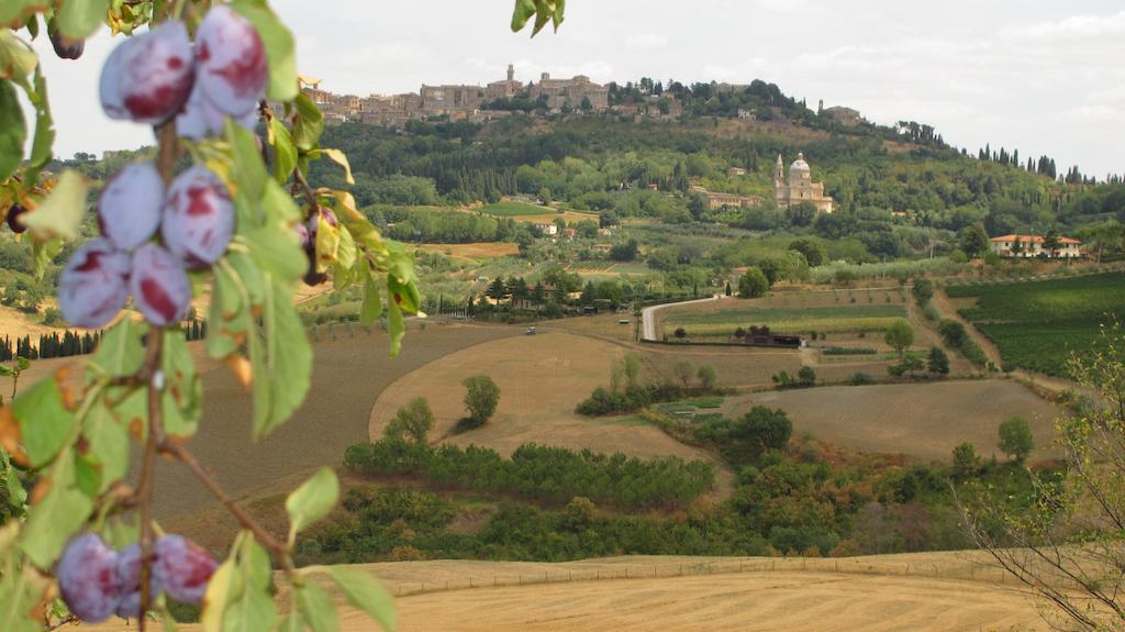 Agriturismo Villa Mazzi Montepulciano Stazione Exterior foto
